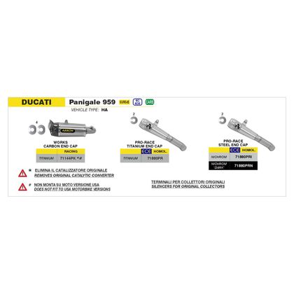 Silencieux Arrow WORKS TITANE Racing - Gris