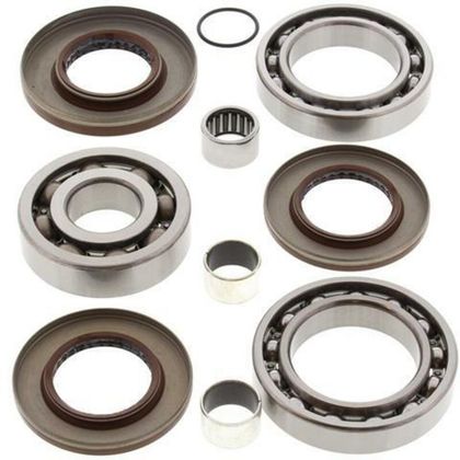 All Balls Rear Differential bearings and seals kit Ref : ALL01271A / 1039414