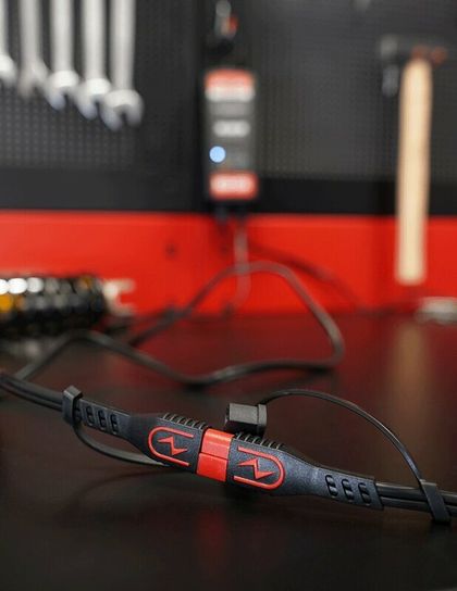 Rallonge BS Battery câble charge PA04 - SAE vers Universel