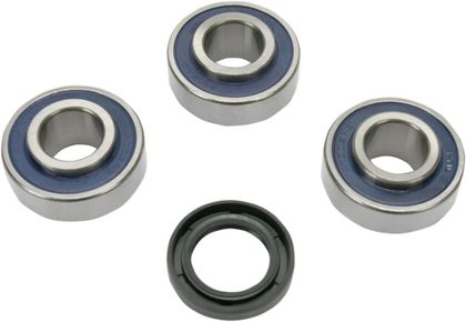 Drag Specialties Joint Wheel bearing kit + oil seals