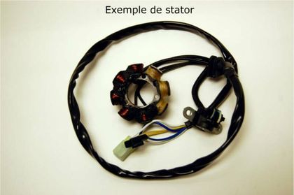 Stator d'allumage Electrosport