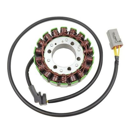 Stator d'allumage Electrosport Cam Am
