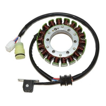 Stator d'allumage Electrosport