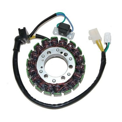 Stator d'allumage Electrosport