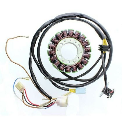 Stator d'allumage Electrosport