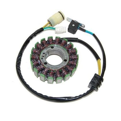 Stator d'allumage Electrosport