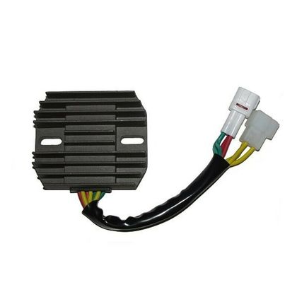 Electrosport Regulator Electronic control unit