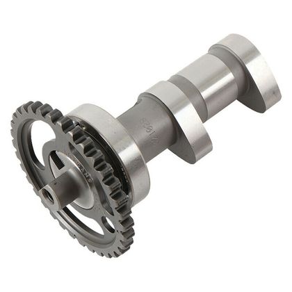 Arbre à cames Hotcams échappement Niveau 1 Ref : HO00204A / 1018945