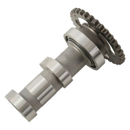 Arbre à cames Hotcams admission Niveau 1