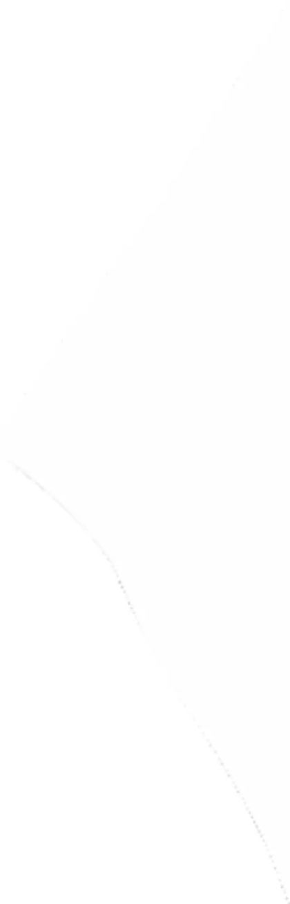 Clignotant Kodlin USA 20201925