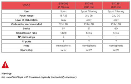 Kit cylindre-piston Malossi ø63mm