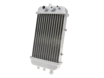 Radiateur 101 Octane 19010831