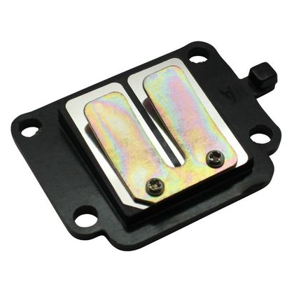 Clapet P2R CLAPET SCOOT ADAPTABLE MBK 50 BOOSTER, STUNT-YAMAHA 50 BWS, SLIDER -P2R-