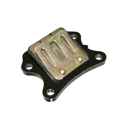 P2R CLAPET CYCLO ADAPTABLE PEUGEOT 50 FOX -P2R- Klep