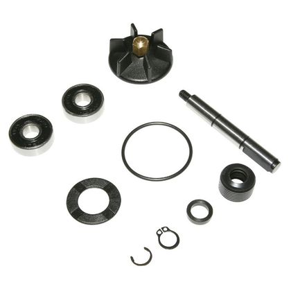 Kit réparation pompe à eau P2R SCOOT