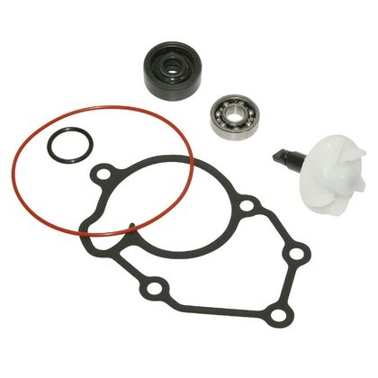 Kit réparation pompe à eau P2R KIT REPARATION POMPE A EAU MAXISCOOTER ADAPTABLE YAMAHA 125 XMAX - MBK 125 SKYCRUISER 2006+2008 (KIT) -P2R-