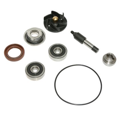 Kit réparation pompe à eau P2R KIT REPARATION POMPE A EAU MAXISCOOTER ADAPTABLE PIAGGIO 250 MP3 2006+, X7 2007+, 300 MP3 2010+, X7 2009+, VESPA GTS 2008+, BEVE