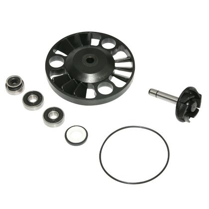Kit réparation pompe à eau P2R KIT REPARATION POMPE A EAU MAXISCOOTER ADAPTABLE PIAGGIO 125 X8 2004+, X9 2001+, BEVERLY 2001+2005, VESPA GTS 2003+-GILERA 125 N Ref : P2R03727A / 138626