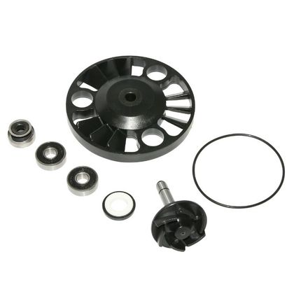 Kit réparation pompe à eau P2R KIT REPARATION POMPE A EAU MAXISCOOTER ADAPTABLE PIAGGIO 125 X8 2004+, X9 2001+, BEVERLY 2001+2005, VESPA GTS 2003+-GILERA 125 N