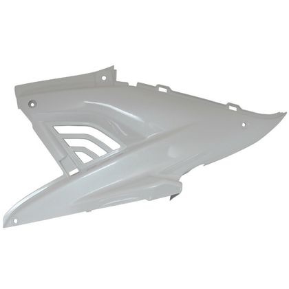 Capot P2R CARENAGE - CAPOT MOTEUR SCOOT Ref : P2R03975A / 15072