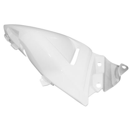 Coque arrière P2R CARENAGE - COQUE AR MAXISCOOTER Ref : P2R04095A / 154871