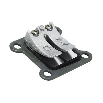 Clapet P2R CLAPET ADAPTABLE POCKET BIKE (VENDU A L'UNITE) -P2R- Universel Ref : P2R04725A / 184568