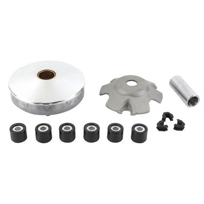 Variador P2R SCOOT Ref.: P2R05168A / 214478
