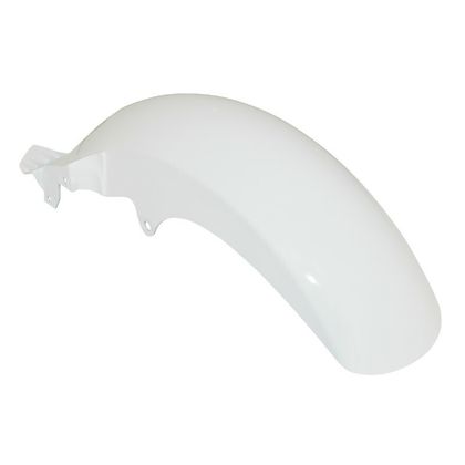 P2R REAR MUDGUARD MAXISCOOTER Mudguard