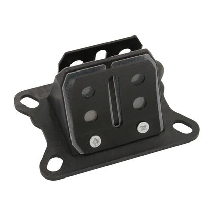 Clapet P2R CLAPET 50 A BOITE FIBRE POUR MINARELLI 50 AM6-DERBI 50 SENDA, GPR-MBK 50 X-POWER-YAMAHA 50 TZR-PEUGEOT 50 XPS-RIEJU 50 RS1, SMX-