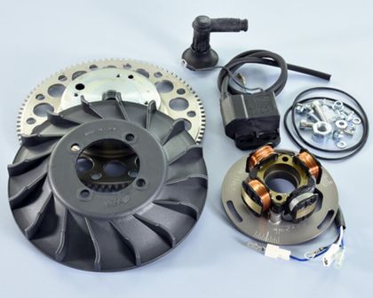 Polini Ignition Rotor