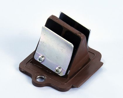 Clapets carbone Polini