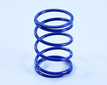 Ressorts d'embrayage Polini