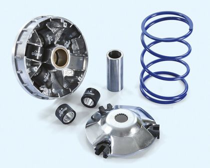 Variator Polini 1152821