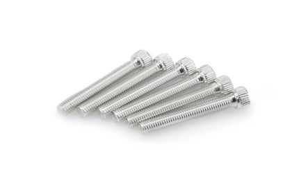 Puig In geanodiseerd aluminium zilver blister 6 allen schroeven M8x55mm Kofferboutset Universeel