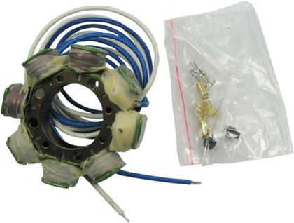 Stator d'allumage Rick's Motosport Electric Remplacement OE
