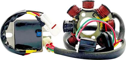 Stator d'allumage Rick's Motosport Electric Kit charge Hot Shot