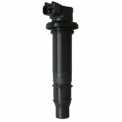SGR 161406 Ignition coil