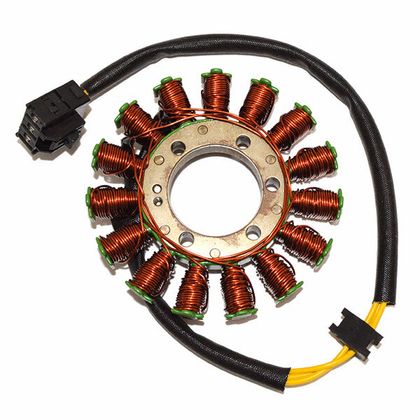 SGR 169018 Ignition stator