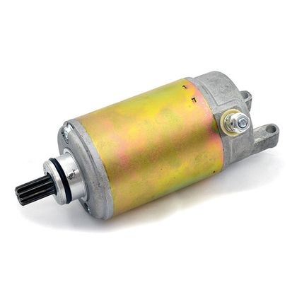 SGR 1781059 Starter