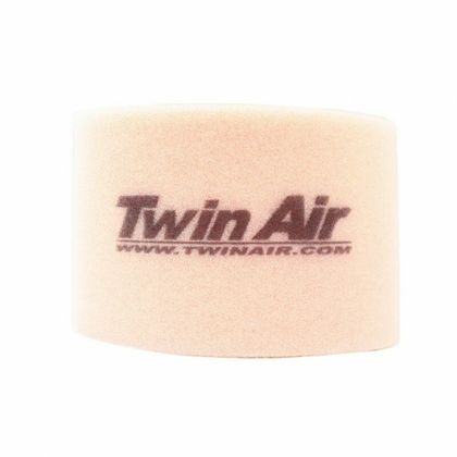 Filtre à air Twin air 156081