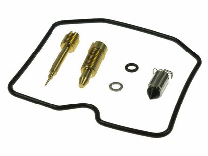 Tour Max Carburettor repair kit