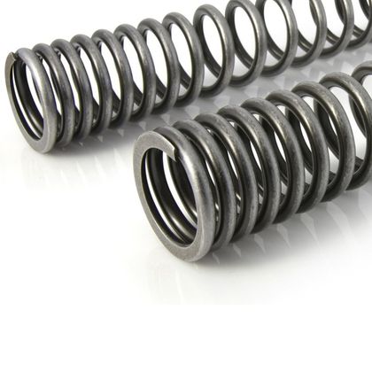 Touratech Progressive - Black Fork springs