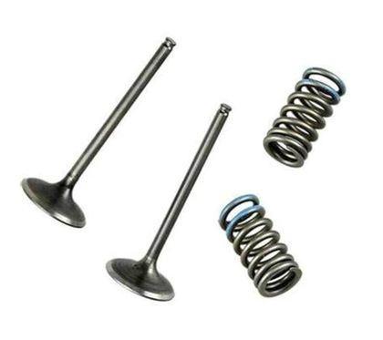 Pastille de soupape Wossner admission acier