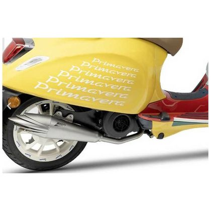 Zard roestvrijstalen uiteinde Volledige lijn