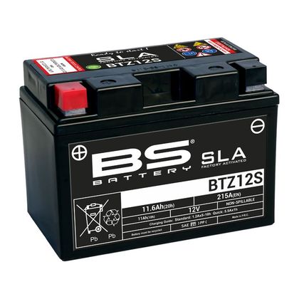 Batería BS Battery SLA YTZ12S