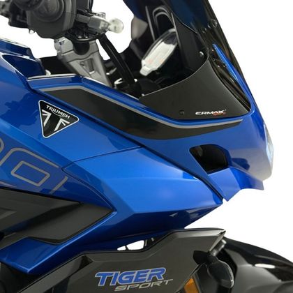 Déflecteur moto Ermax Latéraux - Noir