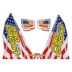 Stickers TI6 STARSANDSTRIPES