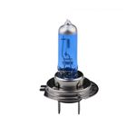  H7 12 V 100 W Gloeilamp