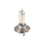  H7 12 V 100 W Light Bulb