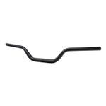 Guidon 06016875